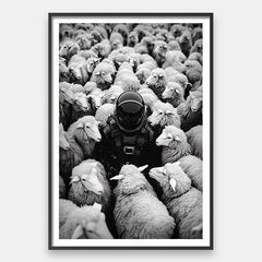 Black Sheep