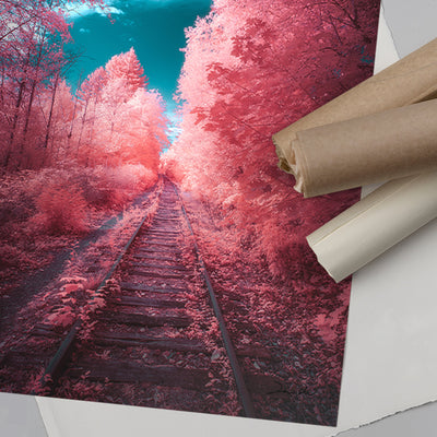 Fairytale Express