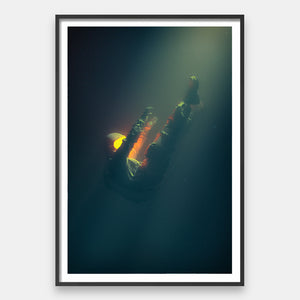 Into The Deep