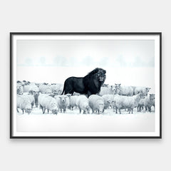 Lion Parmi les Moutons 